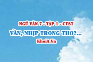 Vần, nhịp và vai trò của vần, nhịp trong thơ là gì? Ví dụ? Ngữ Văn lớp 7